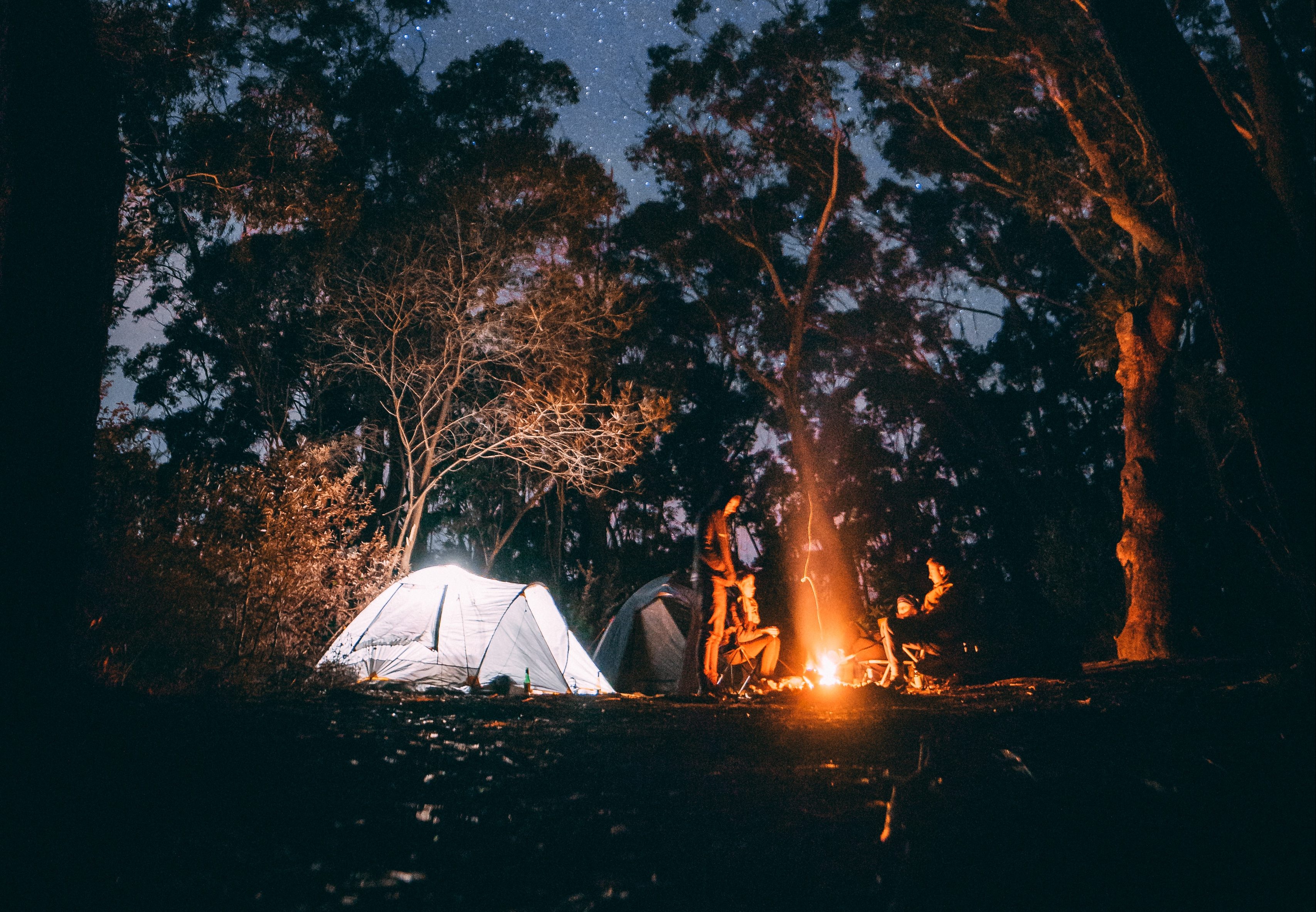 Camping in the forest. Лес палатки костер поход. Палатка в лесу. Палатка костер. Ночь палатка костер.