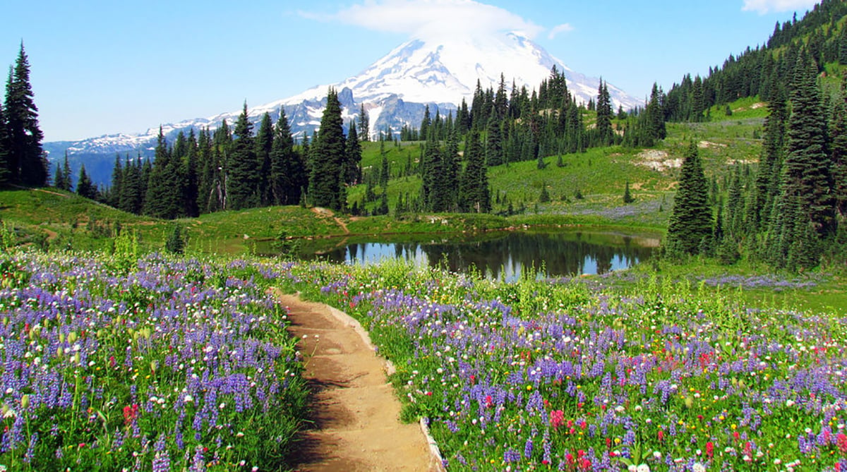 7 Best Wildflower Trails and Spring Hikes in the US ThermaRest Blog